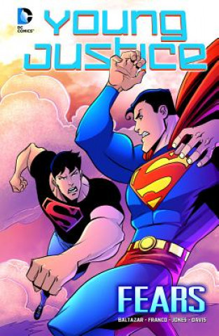 Buch Young Justice 6 Art Baltazar