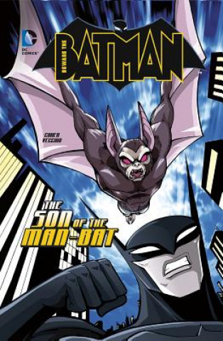 Buch Beware the Batman Ivan Cohen