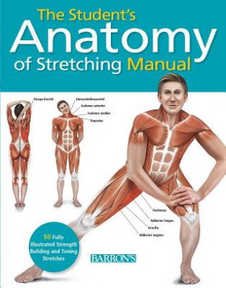 Kniha The Student's Anatomy of Stretching Manual Ken Ashwell
