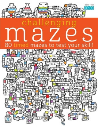 Book Challenging Mazes Lisa Mallet