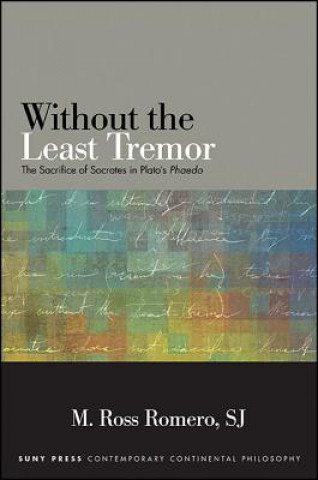 Buch Without the Least Tremor M. Ross Romero