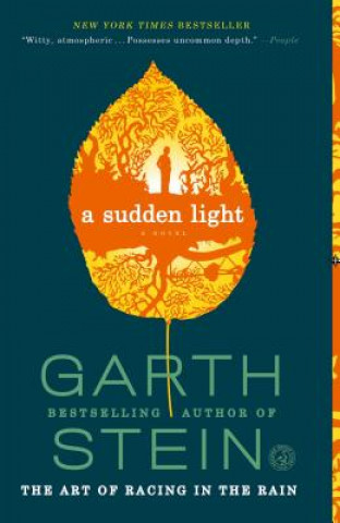 Buch A Sudden Light Garth Stein