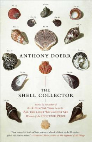 Kniha The Shell Collector Anthony Doerr