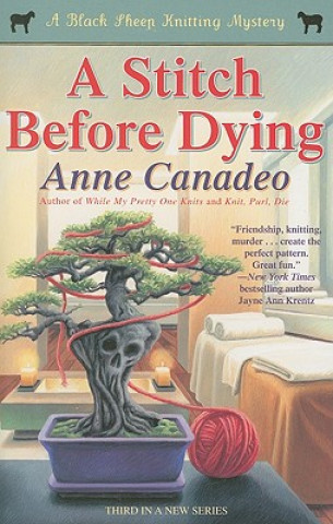 Kniha A Stitch Before Dying Anne Canadeo