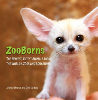 Carte Zooborns Andrew Bleiman