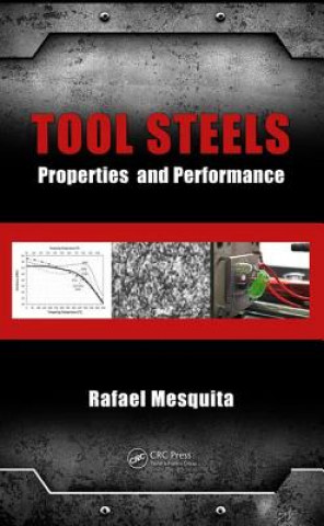 Kniha Tool Steels Rafael Agnelli Mesquita