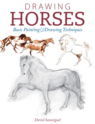 Kniha Drawing Horses David Sanmiguel