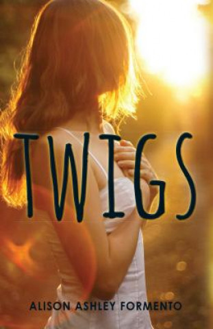 Buch Twigs Alison Ashley Formento