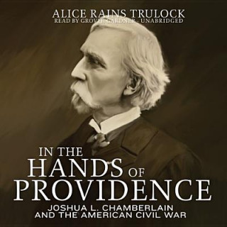 Audio In the Hands of Providence Alice Rains Trulock