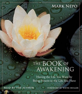 Audio The Book of Awakening Mark Nepo