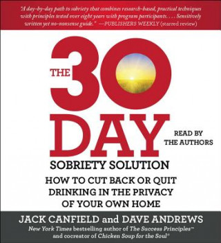 Audio The 30-Day Sobriety Solution Jack Canfield