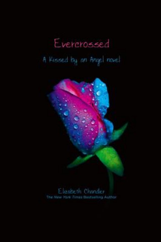 Kniha Evercrossed Elizabeth Chandler