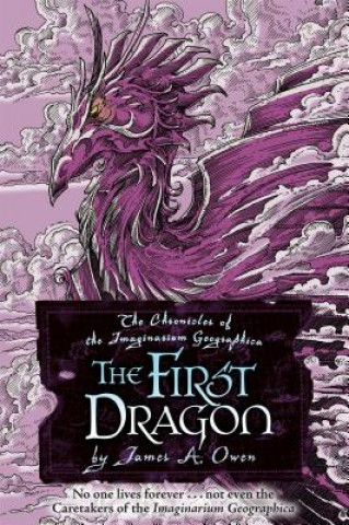Book The First Dragon James A. Owen