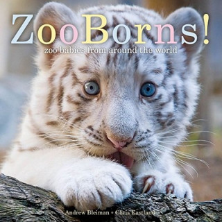 Книга Zooborns! Andrew Bleiman