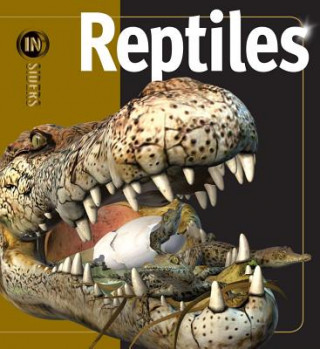 Kniha Reptiles Mark Hutchinson