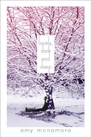 Kniha Lovely, Dark and Deep Amy McNamara