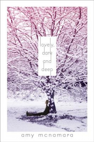 Buch Lovely, Dark and Deep Amy McNamara