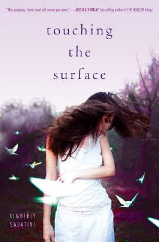 Book Touching the Surface Kimberly Sabatini