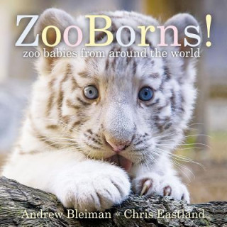 Kniha Zooborns! Andrew Bleiman