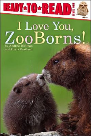 Könyv I Love You, ZooBorns! Andrew Bleiman