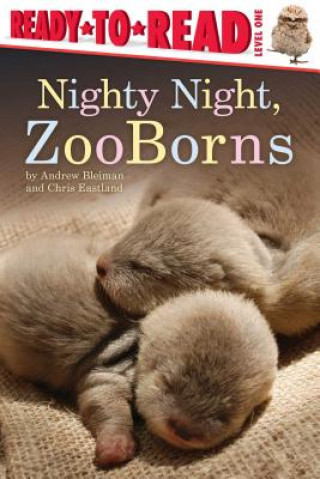 Kniha Nighty Night, ZooBorns Andrew Bleiman