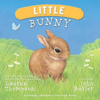 Kniha Little Bunny Lauren Thompson