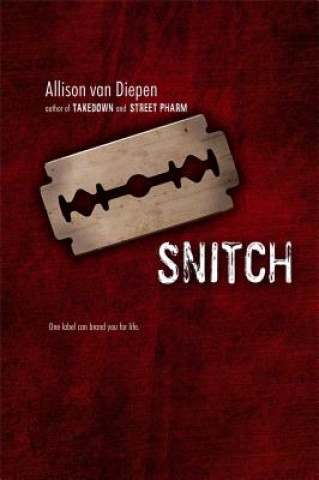 Könyv Snitch Allison Van Diepen