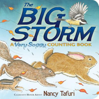 Libro The Big Storm Nancy Tafuri