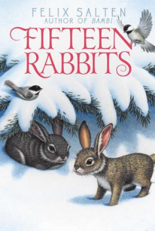 Kniha Fifteen Rabbits Felix Salten
