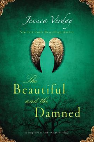 Buch The Beautiful and the Damned Jessica Verday