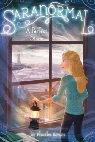 Livro A Perfect Storm Phoebe Rivers
