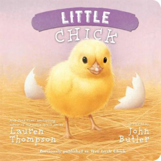 Książka Little Chick Lauren Thompson