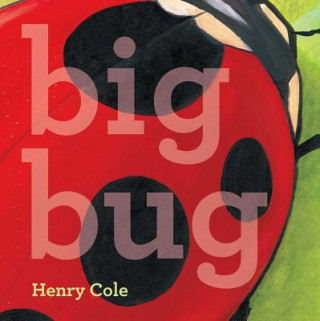 Knjiga Big Bug Henry Cole
