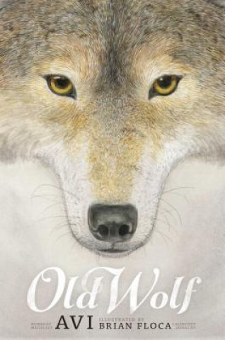 Kniha Old Wolf Avi