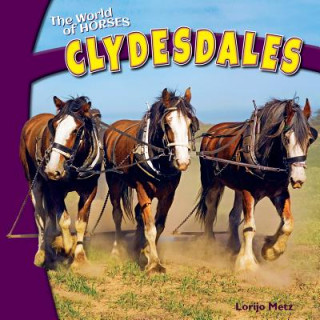 Book Clydesdales Lorijo Metz