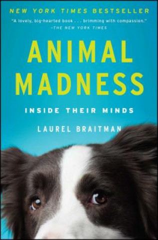 Kniha Animal Madness Laurel Braitman