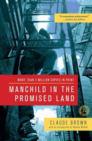 Könyv Manchild in the Promised Land Claude Brown