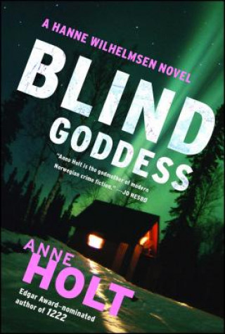 Buch Blind Goddess Anne Holt