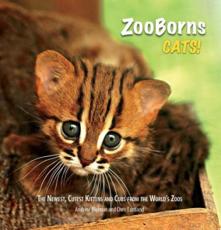 Könyv Zooborns Cats Andrew Bleiman