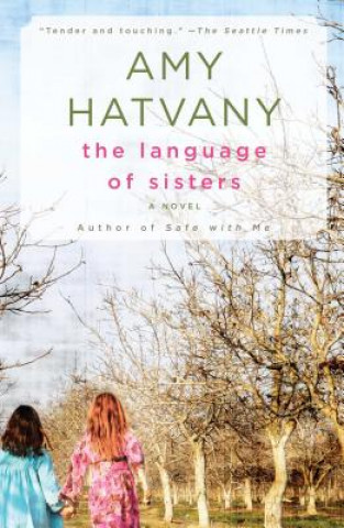 Kniha The Language of Sisters Amy Hatvany