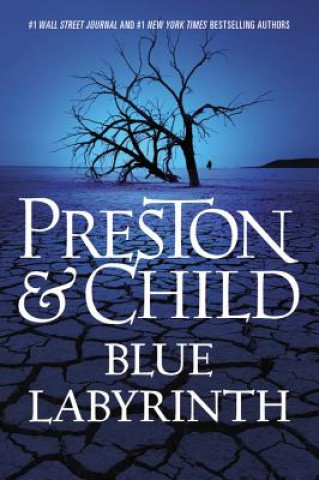 Könyv Blue Labyrinth Douglas Preston