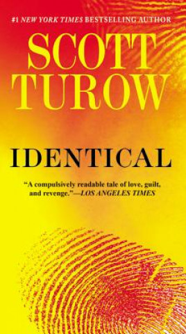 Buch Identical Scott Turow