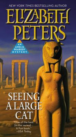 Könyv Seeing a Large Cat Elizabeth Peters