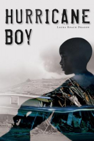 Knjiga Hurricane Boy Laura Roach Dragon