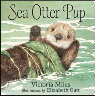Carte Sea Otter Pup Victoria Miles