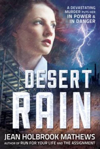 Könyv Desert Rain Jean Holbrook Mathews