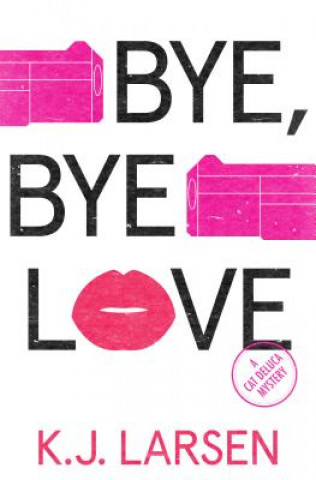 Kniha Bye, Bye Love K. J. Larsen