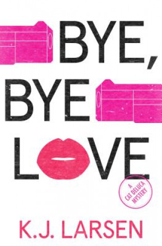 Könyv Bye, Bye Love K. J. Larsen