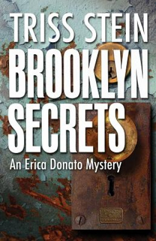 Kniha Brooklyn Secrets Triss Stein