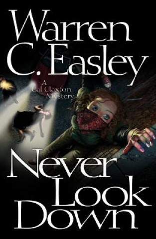 Buch Never Look Down Warren C. Easley